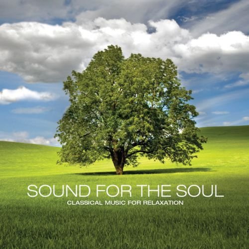 Sound for the Soul [Audio CD] Sazonoff, Yuri
