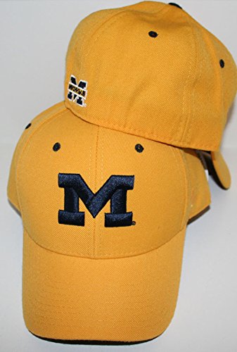 Michigan Wolverines Gold DH Fitted Hat 