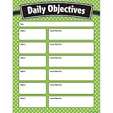 Teacher Created Resources Lime Polka Dots Daily Objectives Chart (7555)