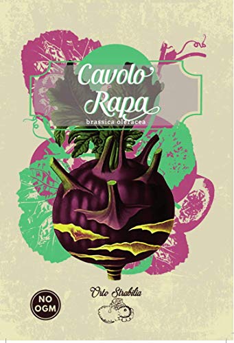 Portal Cool Cavolo rapa, Brassica oleracea, semi rari, semi Strane