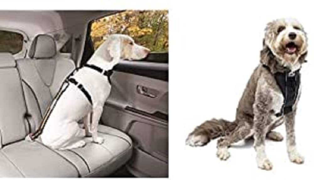 Kurgo Harnais Intelligent Tru-Fit pour Chien+Kurgo Attache directe à la Ceinture de sécurité