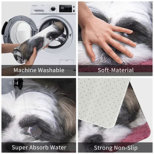 Spxubz Cute Shih Tzu Dog Doormat Non Slip Entrance Rug Outdoor/Indoor Durable And Waterproof Machine Washable Door Mat Size:23.6X15.7 Inch #TOP5