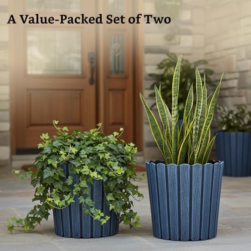 Image of Amazon Brand- Solimo Indoor and Outdoor Round 10 Inch Thai Flower Planter Pot Best for Terrace /Balcony /Home /Office Decor - Set of 2