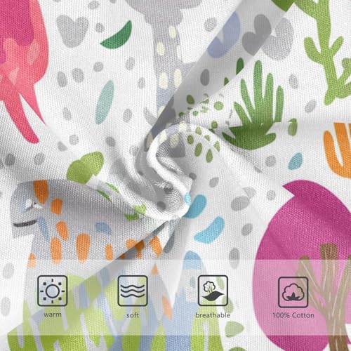 Colorful Cartoon Dinosaurs Toddler Boy's Underwear 2T 202c11963