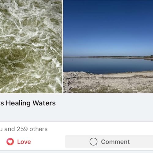 Couverture de Episode 237: Florida Spectacular Origin Story, Marj the Influencer, and Social Media