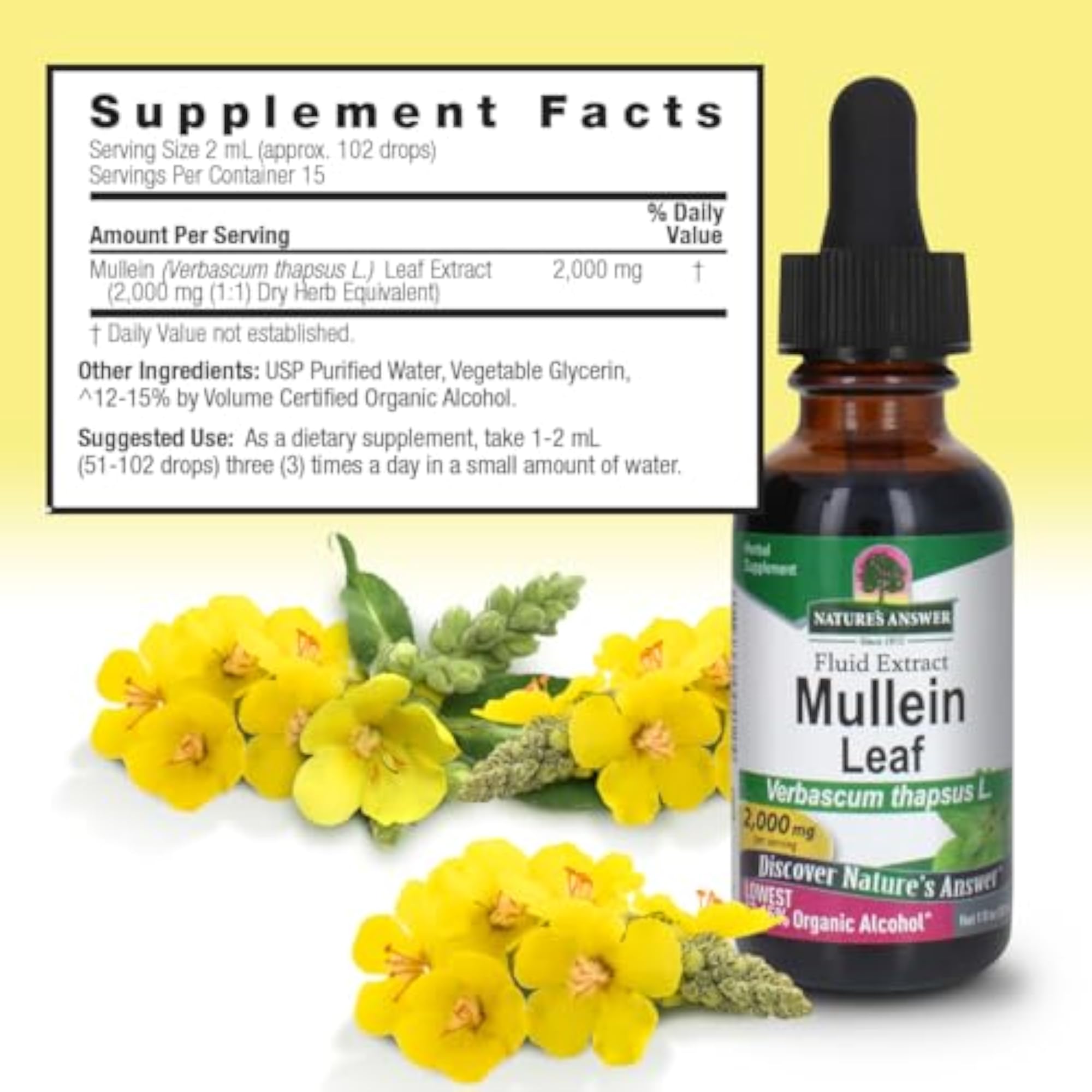 Mullein Leaf Nature's Answer, 1-Ounce