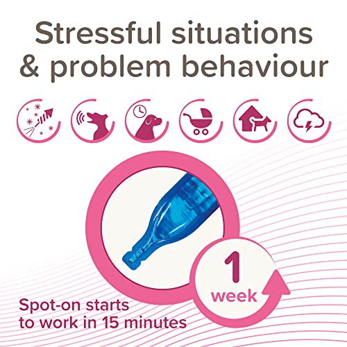 Beaphar CaniComfort® Wohlfühl Spot-On