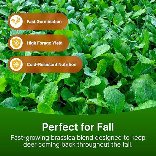 Brassica Blend For Deer