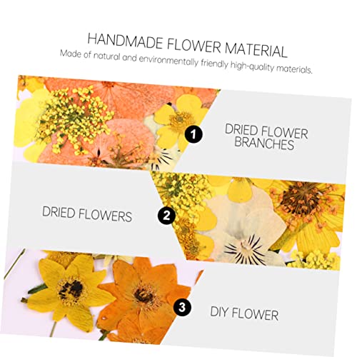 Flores secas elegantes para manualidades Pack 40 piezas miniatura 6