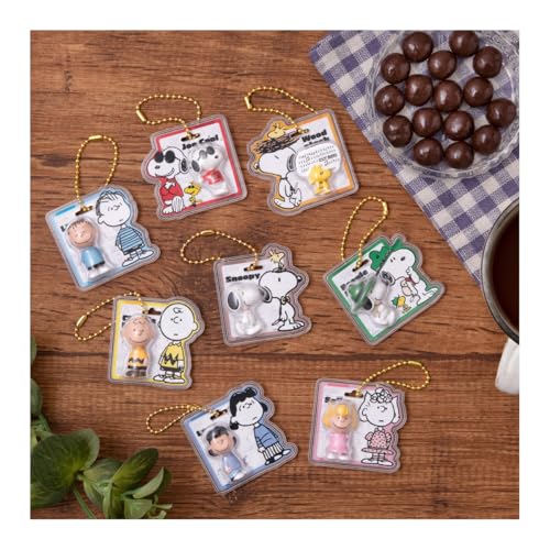 PEANUTS SNOOPY パッケージチャーム&チョコボーロ 10個 BOX 食玩