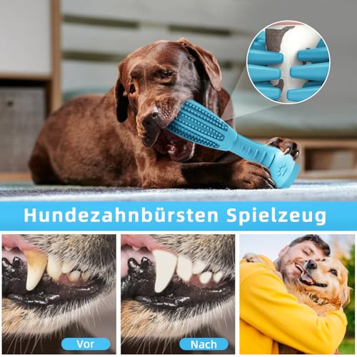 HETOO Hundespielzeug, Kauspielzeug für Hund Welpen, Zähne Reinigung Hunde Spielzeug Für Mittelgroße Hunde, Zähne Schleifstange Gummi Dog Toys (Blau)