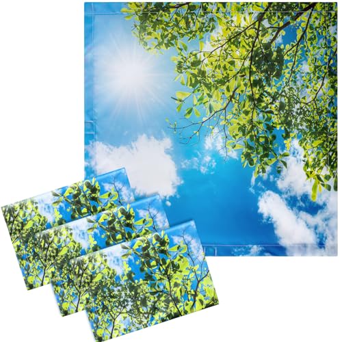 Image of VIHOSE 4 Pcs 2 x 2 Feet Fluorescent Light Covers for Ceiling Lights Classroom Magnetic Light Filters for Reducing Harsh Glare Flicker for Office Classroom Home Drop Ceiling(Sky Leaves)
