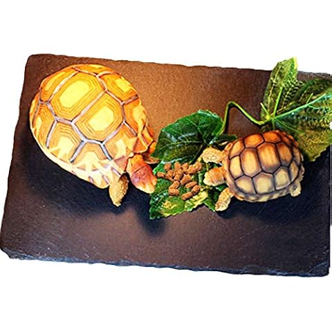 Tfwadmx Reptile Basking Rock Platform, Tortoise Feeding Plate Bowl, Reptile Food Dish Grinding Nail Landscape Habitat Decor for Lizard Bearded Dragon Turtle Crested Gecko Snake Cover