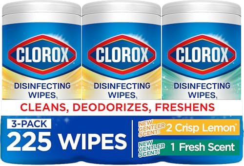 Clorox Disinfecting Cleaning Wipes for Spring Cleaning & Allergy ...