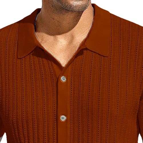 Men's Lapel Button Down Slim Fit Knit Top Vintage Textured Business Short Sleeves Casual Thin Knitted Cardigan (Brown 1,Large)2