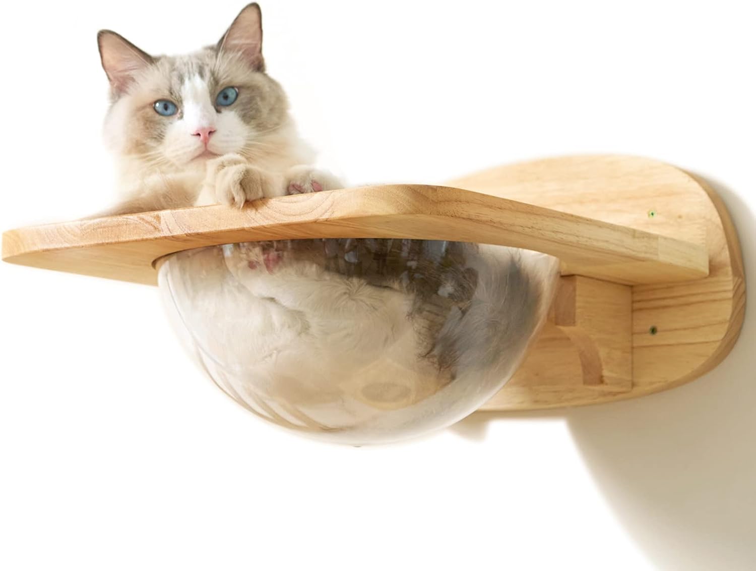 FUKUMARU Cat Wall Furniture, Transparent Capsule Cat