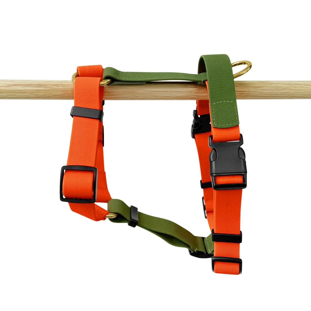 Pettorina per cani impermeabile, regolabile in 5 direzioni, Made in Germany, per razze da piccole a molto grandi, accessori per cani (M, arancione/verde)