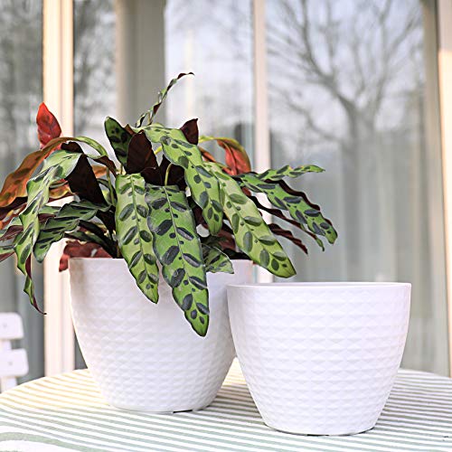 LA-JOLIE-MUSE-Flower-Pots-Outdoor-Indoor-Garden-Planters-Modern-Chic-Planters-with-White-Geometric-Mosaic-Texture-Patterns-Set-of-2-Matte-White-86-75-Inch LA-JOLIE-MUSE-Flower-Pots-Outdoor-Indoor-Garden-Planters-Modern-Chic-Planters-with-White-Geometric-Mosaic-Texture-Patterns-Set-of-2-Matte-White-86-75-Inch