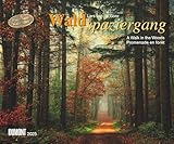DUMONT - Waldspaziergang 2025 Wandkalender, 60x50cm, Fotokunst-Kalender mit beeindruckenden Fotografien aus dem Wald, im Querformat