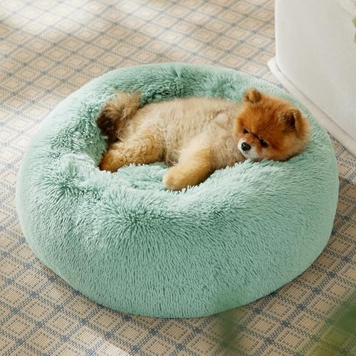 Image of Bedsure Calming Dog Bed for Small Dogs - Donut Washable Small Pet Bed, 23 inches Anti-Slip Round Fluffy Plush Faux Fur Large Cat Bed, Fits up to 25 lbs Pets, Apple Green