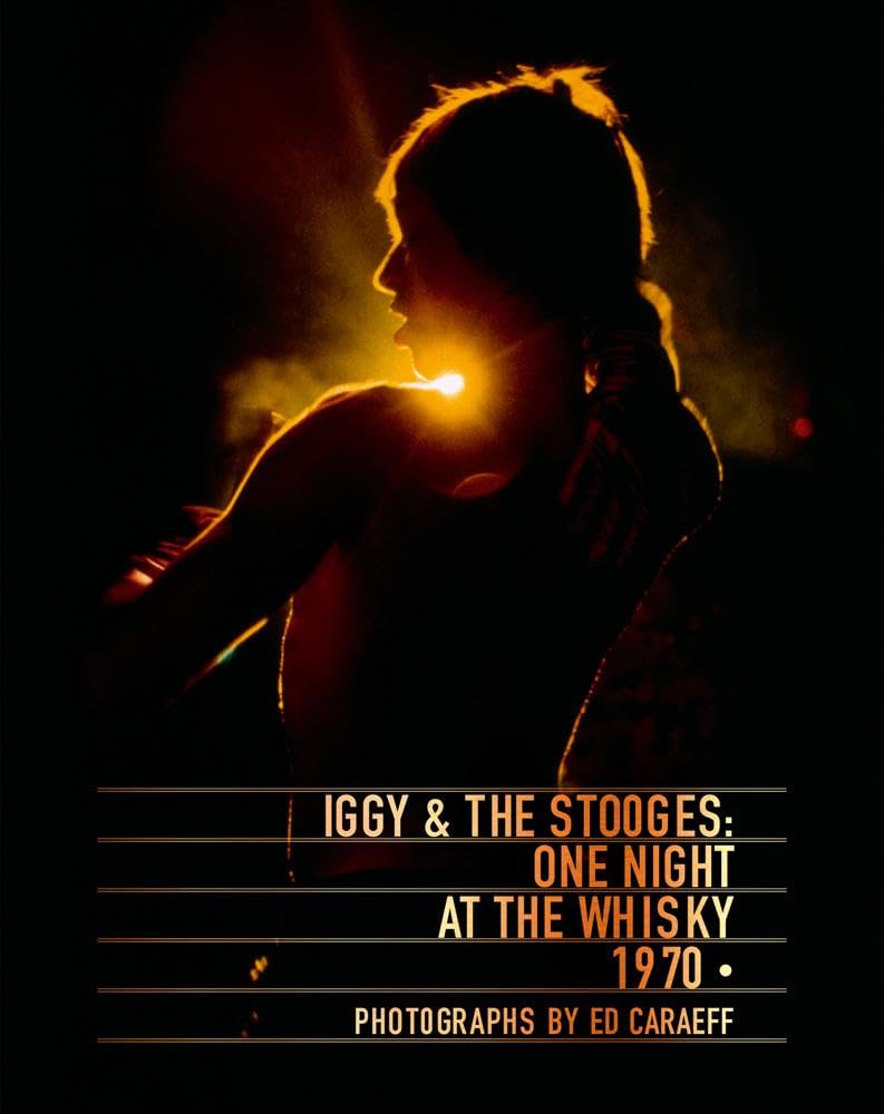 Iggy and the Stooges