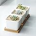 Greenaholics Succulent Plant Pots - 3.54 Inch Small Ceramic Square Planter Containers for Flowers or Cactus with Drainage Hole and Bamboo Tray - White Set of 3