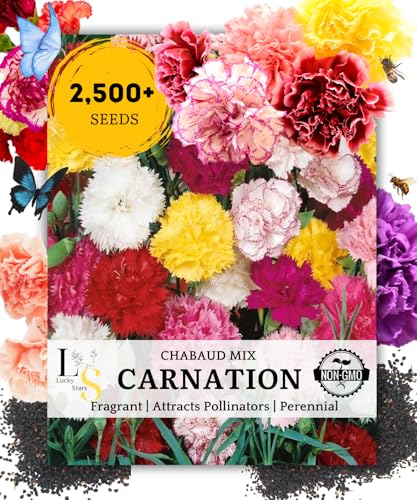 2500 Mixed Carnation Flower Seeds for Planting - AKA. Dianthus Ca...