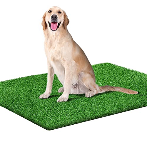 Amazon Best Sellers Best Artificial Grass