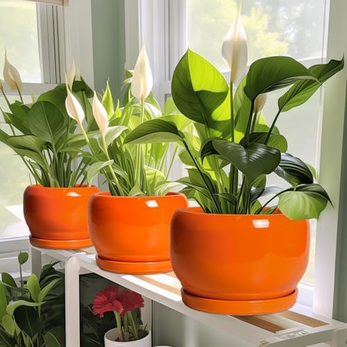 SQOWL Ceramic Pot for Plants - 8 Inch Plant Pot Indoor Outdoor, Modern Round Planter with Drainage Hole and Saucer, Decorative Planter for Flower, Office Decor, Garden Gifts for Women, Orange - 5