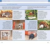 300 Fragen zum Zwergkaninchen - 10