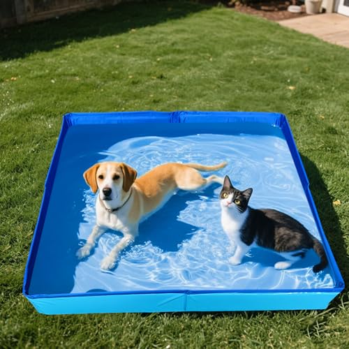 Hundepool Katzenpool Mit 6 Fischen Spielzeug, 50x50x10cm Hundebadewanne Faltbare Mini Hunde Pool Aus PVC, Planschbecken Hund, Schwimmbecken Für Kleine Hunde Katzen Haustiere (Blau)