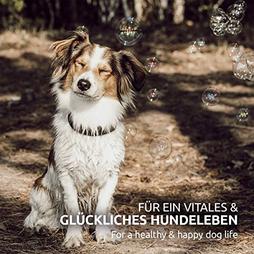 AniForte Barf Futteröl für Hunde 500ml– Natürliches, kaltgepresstes Premium Barf Öl, ideale Mischung reich an Omega 3 & Omega 6, artgerechter & ausgewogener Barf Zusatz