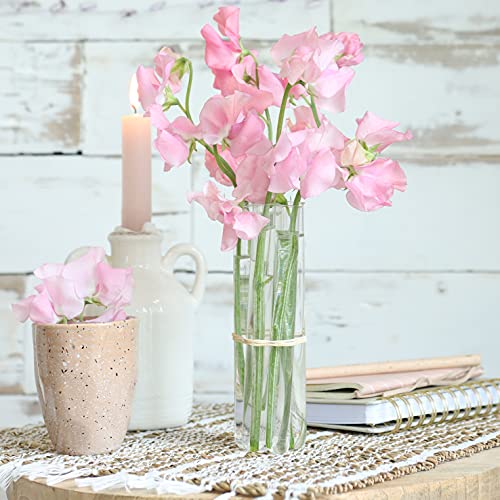 12 Test Tubes for Flowers Glass Vase with Edge for Hanging Window and Wedding Decoration (15 cm), Multicolor - Image 4