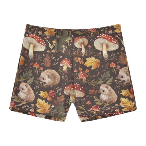 Fall Mushrooms Hedgehogs Cute Colored Cats Boys Swim Trunks Swimsuits for Toddler Boy Swim Shorts Trunks 3T-10T