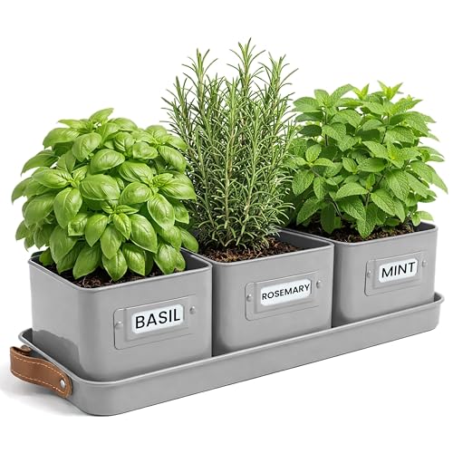 Green Thumbz Jardinière Herbes Aromatiques avec Poignée en Cuir - Idéal pour Basilic en Pot Herbes Aromatiques à Planter - avec Bac de Récupération et...