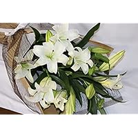 Amazon Puriza 生花花束 ゆり ユリのカサブランカの花束 百合の女王 祝福 市場直送 鮮度抜群 国産 30輪の花束 花束 オンライン通販 Amazon Puriza 生花花束 ゆり ユリのカサブランカの花束 百合の女王 祝福 市場直送 鮮度抜群 国産 30輪の花束 花束 オンライン通販