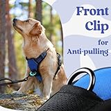 rabbitgoo Dog Harness Medium with Neck Release Buckle, Adjustable No Pull Harness with Front Back Clips, Soft Padded with Easy Control Handle, Reflective Pet Walking Vest, Blue, M - Image 7