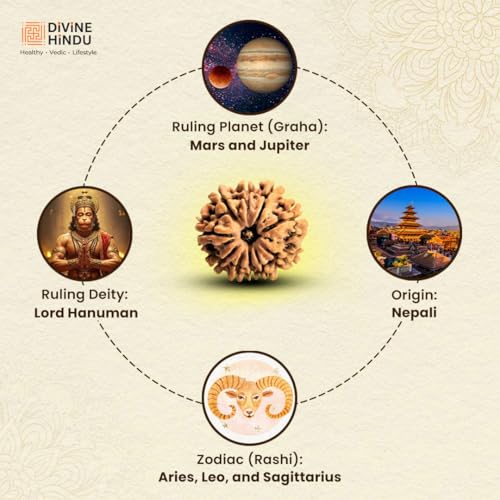Image of Divine Hindu Original 9 Mukhi (Nine Face) Indonesia Rudraksha | Nau Mukhi Rudraksh Bead for Meditation, Protection & Spiritual Growth | Natural Rudraksha for Men & Women | Prayer Bead for Success