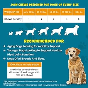 Pawmedica glucosamine for dogs hip  joint care chews for dogs joint support for dog joint supplements with hemp mobility for dogs senior dog joint supplement large breed  120 dog hemp chews   cucciolini doodles