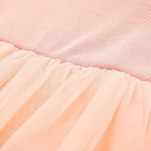 Agqt Baby Girls Tulle Tutu Dress Long Sleeve Multi-Layer Lace Dress Knit Round Neck Casual Dress Christmas Fall Winter Party Dresses Pink-Colorful Size 18-24 Months #TOP5