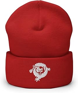 Hogue WS LLC Bitcoin SV Cryptocurrency Logo Hat (Embroidered Cuffed Beanie)