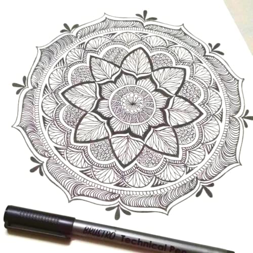 Image of BRUSTRO Technical Fineliner Pen I Black I Set of 6 - Tip Sizes - 0.05mm, 0.1mm, 0.2mm, 0.3mm, 0.5mm, 0.8mm | Ideal for Mandala, Drawing,Artist Illustration,Sketching