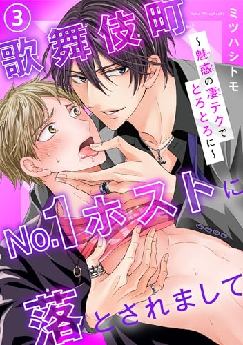 歌舞伎町No.1ホストに落とされまして～魅惑の凄テクでとろとろに～3 (BL宣言)