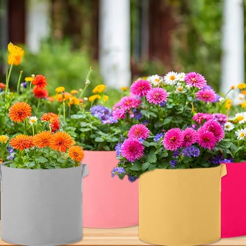 Ziliny Colored Fabric Grow Bags Bulk Colorful Plant Grow Bags Nonwoven Fabric Pots with Handles Seeds Vegetables Tomato Planter Grow Buckets for Outdoor Garden Fruits Flower, 10 Colors(20 Pack,3 Gal)