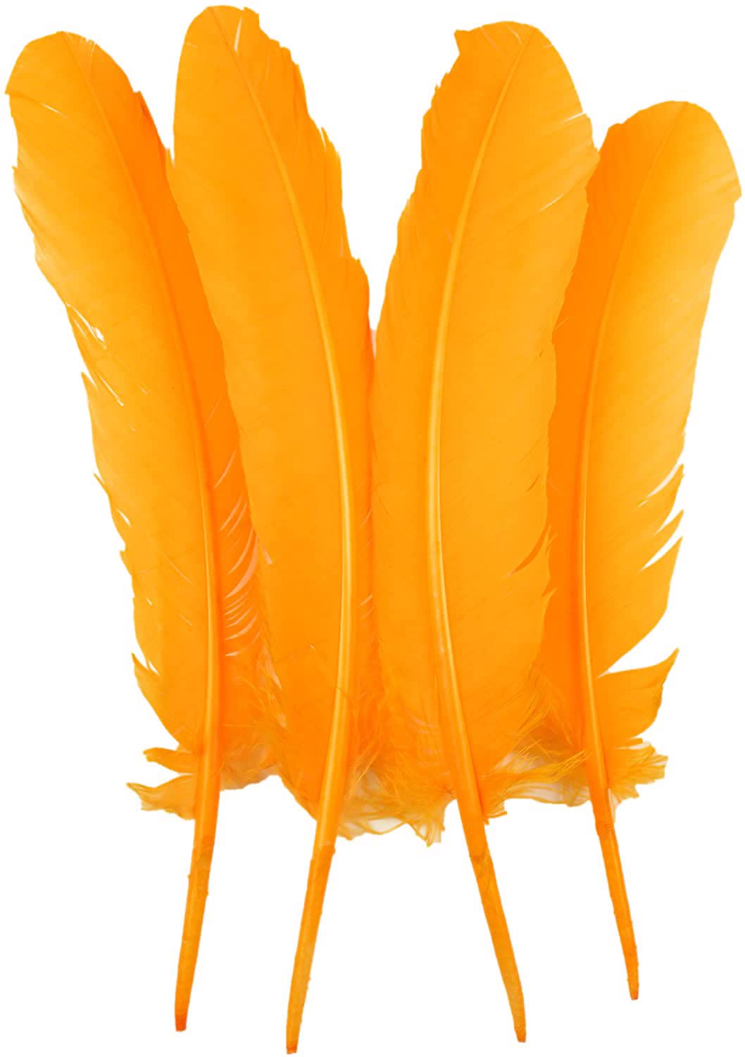 TIPTOP DECORATION Natural Dyed Goose Quills 12-14 Inch (5 Pieces) (Mango)