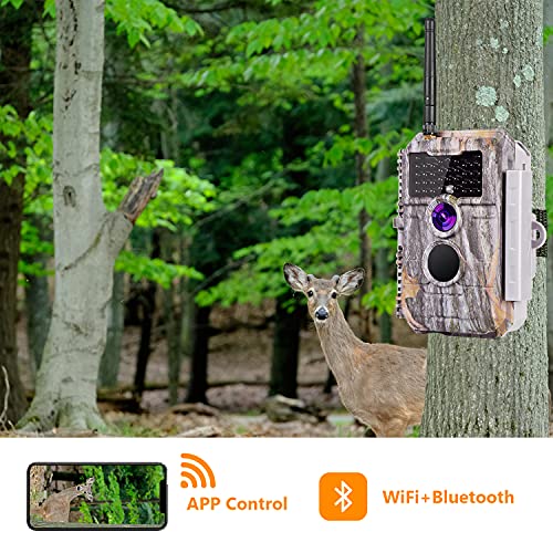 BlazeVideo WLAN Wildkamera Fotofalle WiFi Beutekamera Wildtier Jagdkamera Überwachungskamera 64MP 2304x1296 H.264 MP4/MOV Video mit unsichtbare Nachtsicht Bewegungsmelder