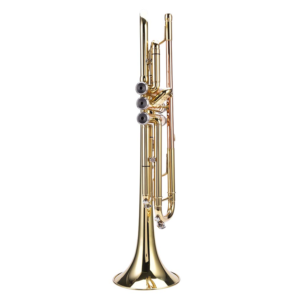 Tbest Trompete Bb Messing Golden - Praxis Learning Instrument Set Kit Zubehör mit Trompete Koffer für Erwachsene Anfänger Kinder Studenten