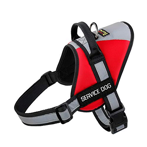 The 25 Best Emotional Support Dog Vests of 2020 Pet Life Today