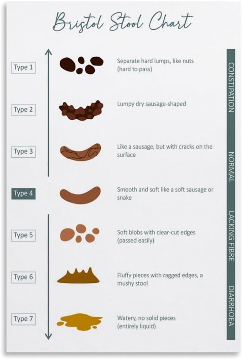 Sitrmgh Men's Educational Posters Bristol Stool Chart Diagnosis Of Intestinal Constipation And Diarrhea Knowledge Chart Poster For Room Aesthetics Meatl Tin Sign Wall Art 8X12 Inch