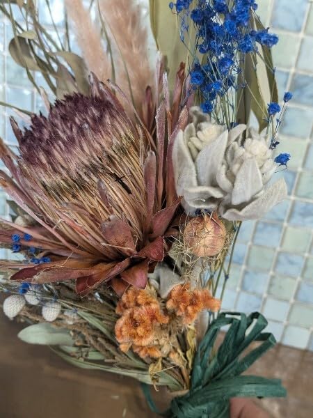 Amazon | ドライフラワープロテアネイティブスワッグラムズイヤー